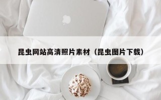 泉州昆虫网站高清照片素材（昆虫图片下载）